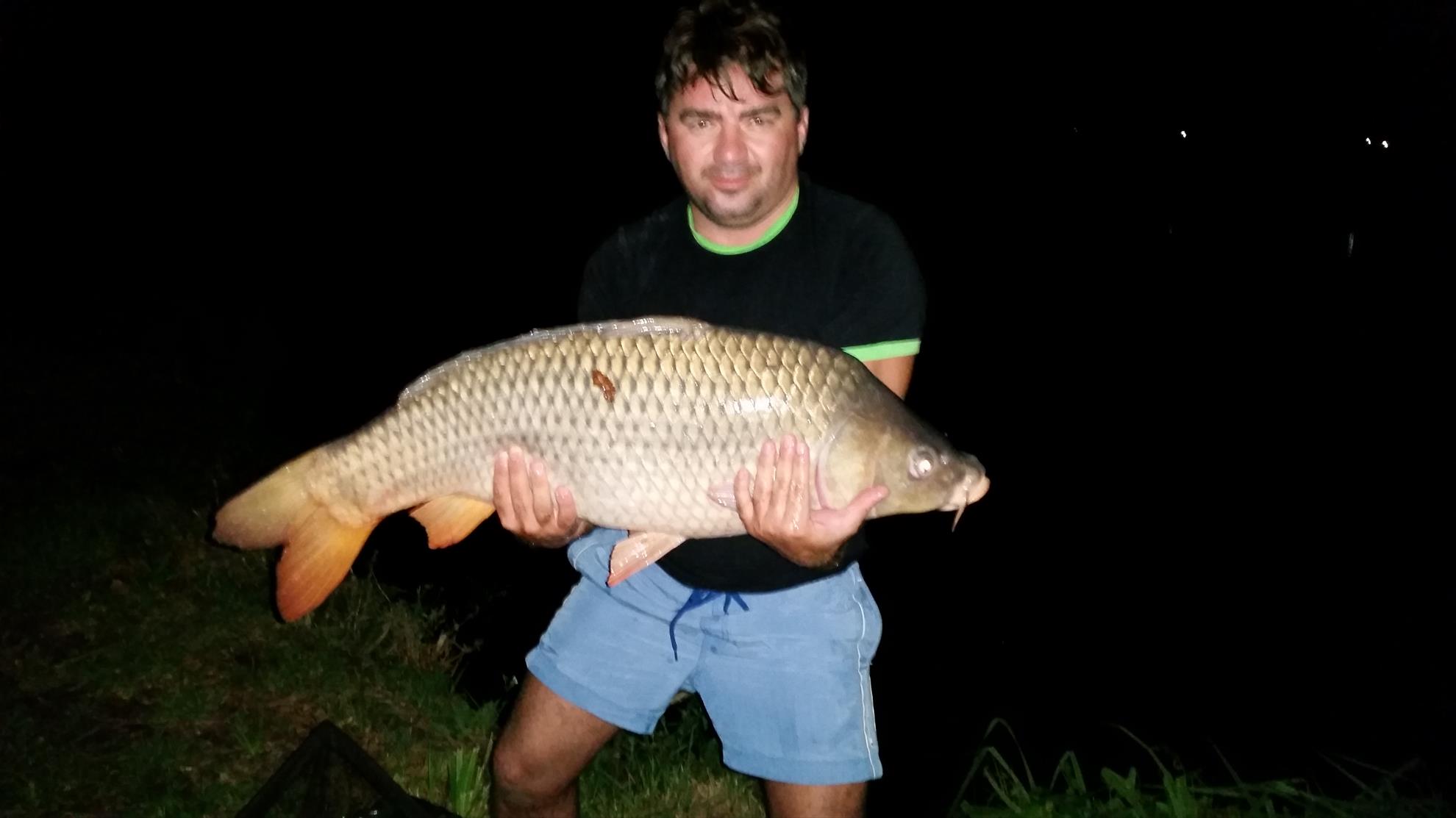 catch & release - 20140904230436.jpg